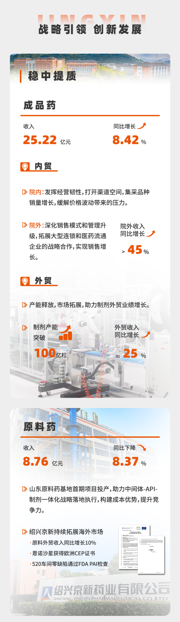年报-中文2.png
